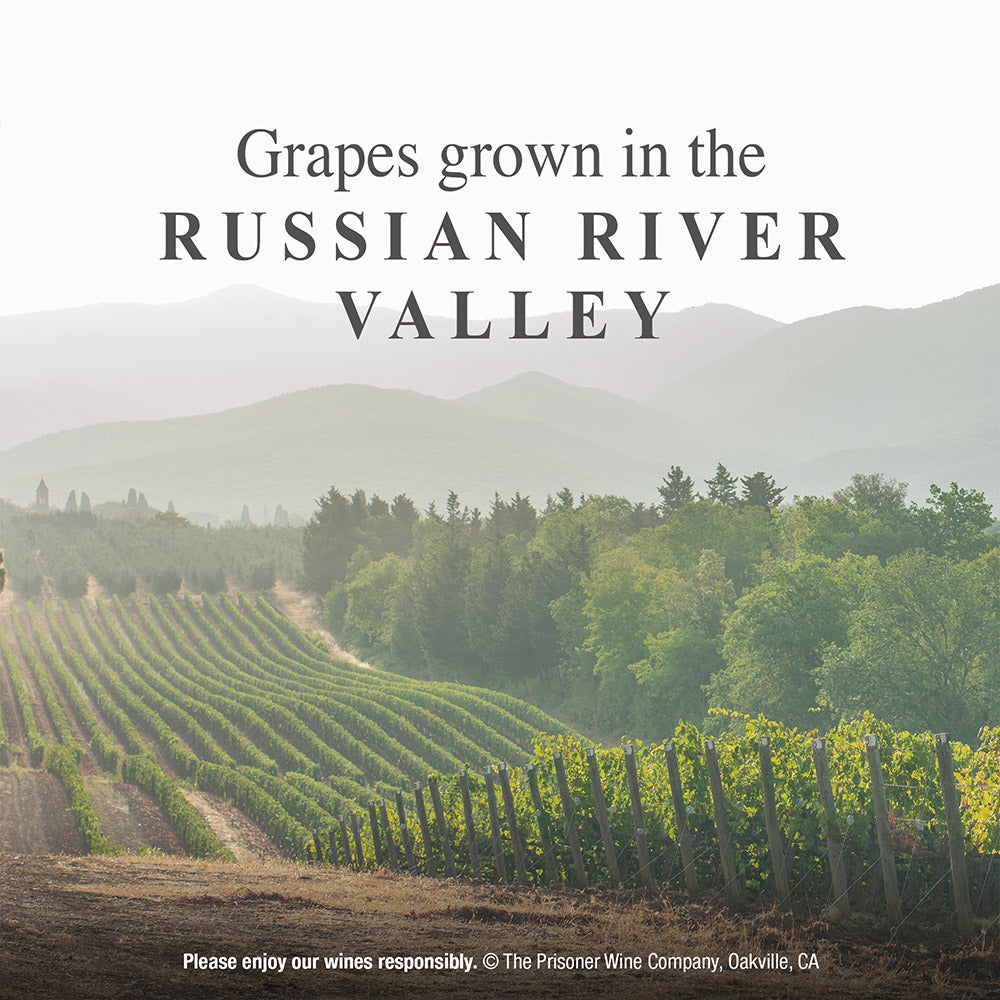 A scenic vineyard landscape with rows of grapevines in the Russian River Valley, misty mountains in the background, and large overlaid text reading 'Grapes grown in the RUSSIAN RIVER VALLEY.'