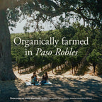 A scenic vineyard path under a large tree with two people sitting on the ground, overlaid with the text 'Organically farmed in Paso Robles' and a small footer note for Harvey and Harriet Wines.