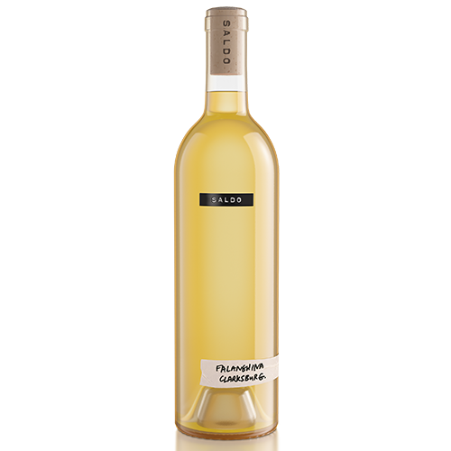 2024 SALDO FALANGHINA