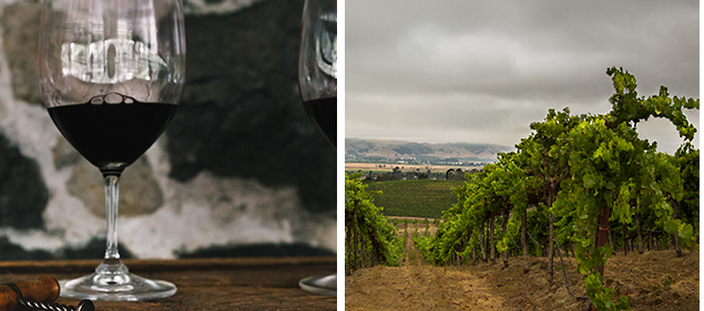 Left image: a half full wine glass on a wood table. Right image: rows of grapevines flow downhill.